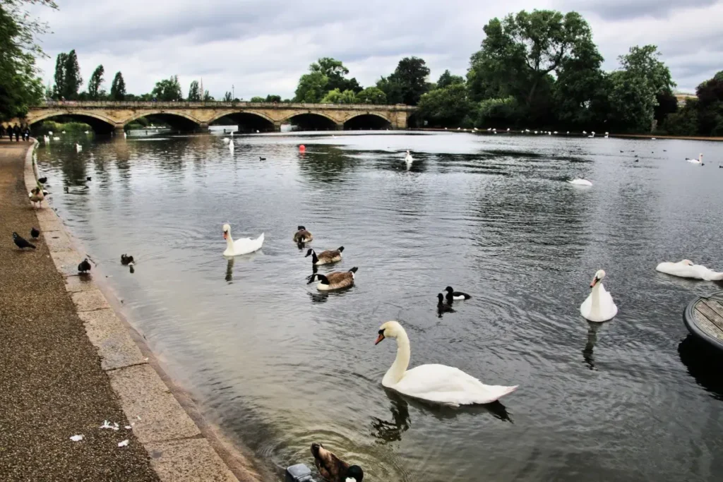 The best things to do in Cotswolds, Cheltenham